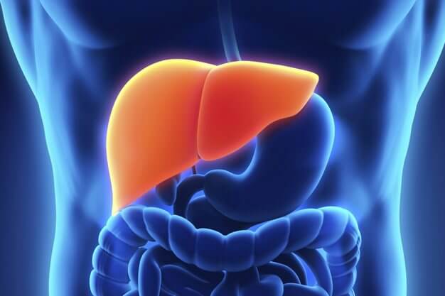 Ayurveda for liver diseases